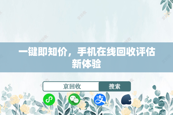 一键即知价，手机在线回收评估新体验