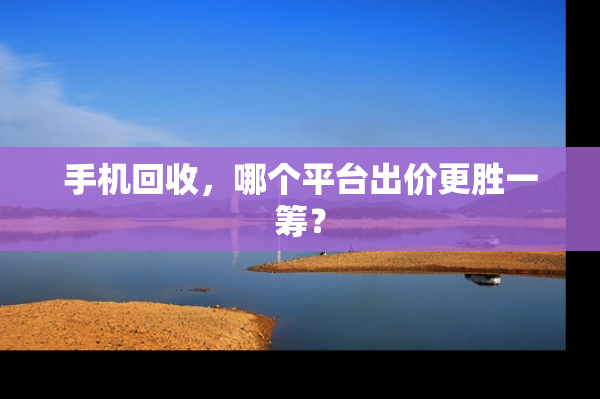 手机回收，哪个平台出价更胜一筹？