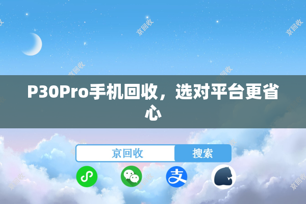 P30Pro手机回收，选对平台更省心