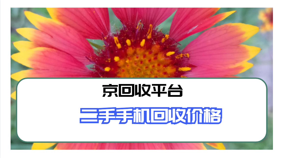 2025年二手手机回收价格单（新版）